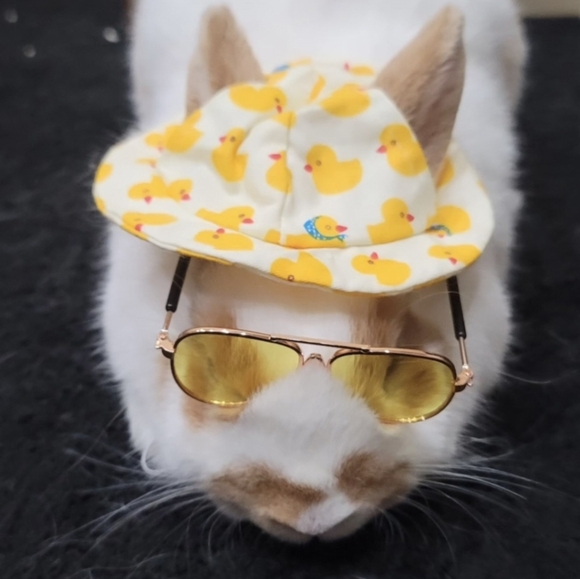 MARSHY's MANURE NATURAL GARDENING FERTILIZER - Picture 13 of 16